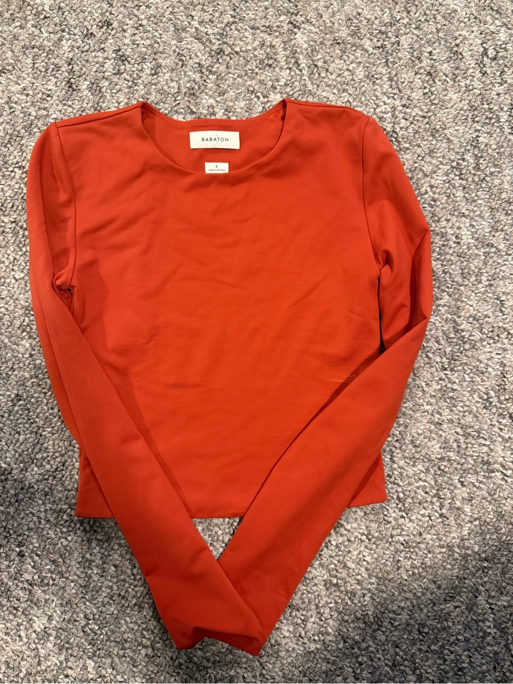 Aritzia Babaton Long Sleeve Crewneck Top in Rust Orange